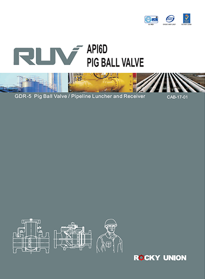 5.RUV Pigging Valve