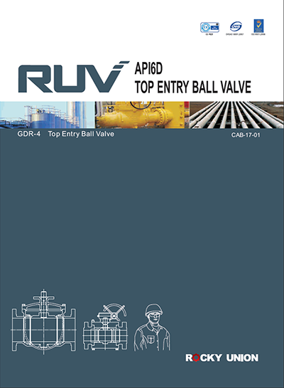 4.RUV Top Entry Ball Valve